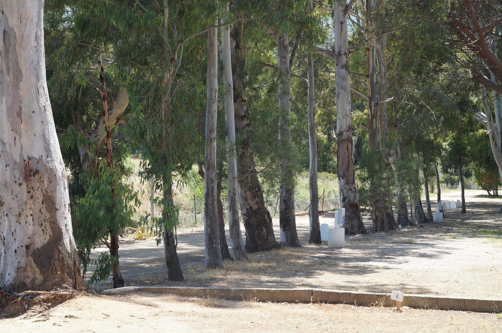קאלבי Camping International מראה חיצוני תמונה